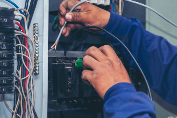 Best Ceiling Fan Installation Electrician  in Dutch Island, GA
