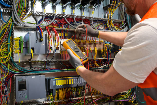 Best Electric Panel Repair  in Dutch Island, GA