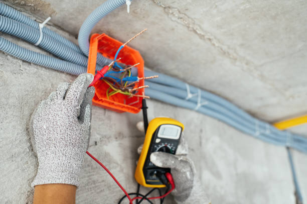 Best Home Electrical Repair  in Dutch Island, GA